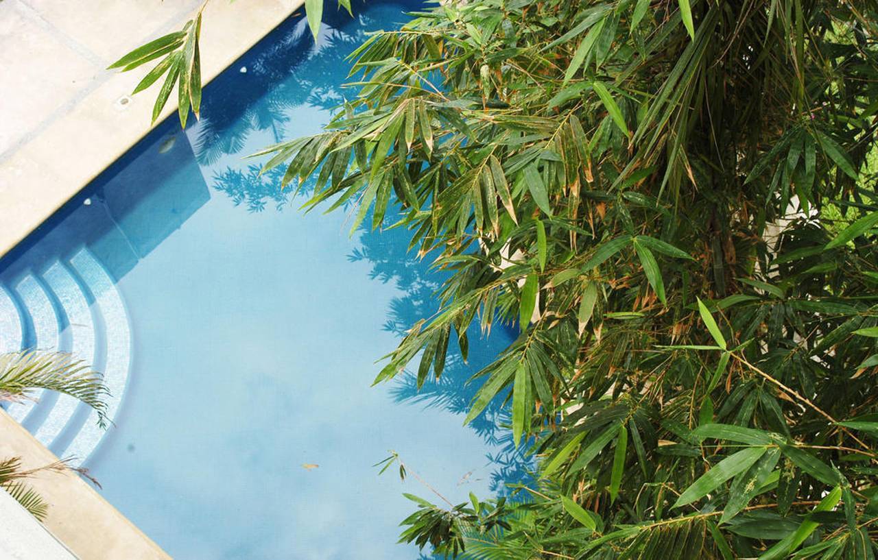 Hotel Chapul Inn Ακαπούλκο Εξωτερικό φωτογραφία